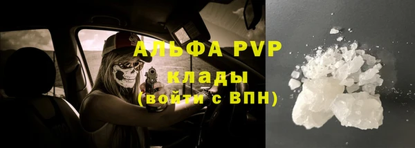 гидра Аркадак