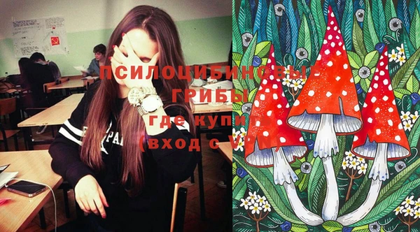 крисы Балахна